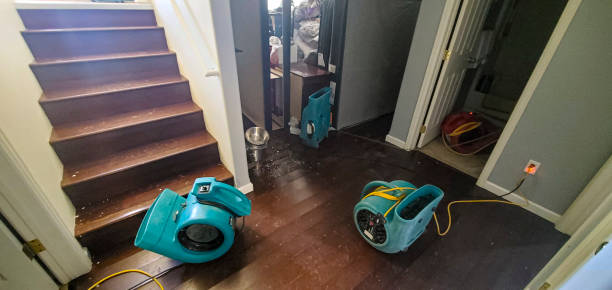 Best Flood restoration services  in Council Grove, KS