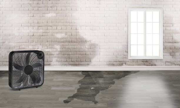 Best Residential water damage restoration  in Council Grove, KS
