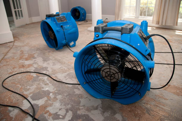 Best Water damage contractors near me  in Council Grove, KS