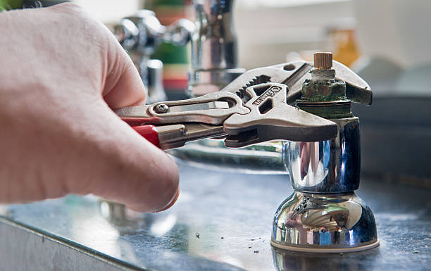 Best Mold removal after water damage  in Council Grove, KS