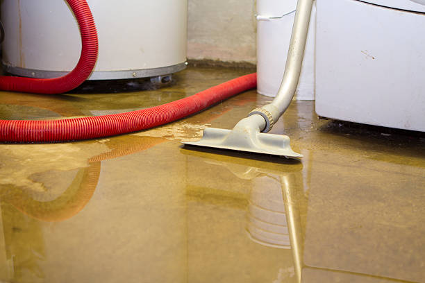 Best Local water damage restoration  in Council Grove, KS