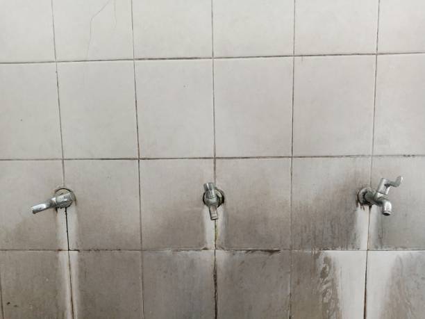 Best Sewage cleanup and water damage restoration  in Council Grove, KS