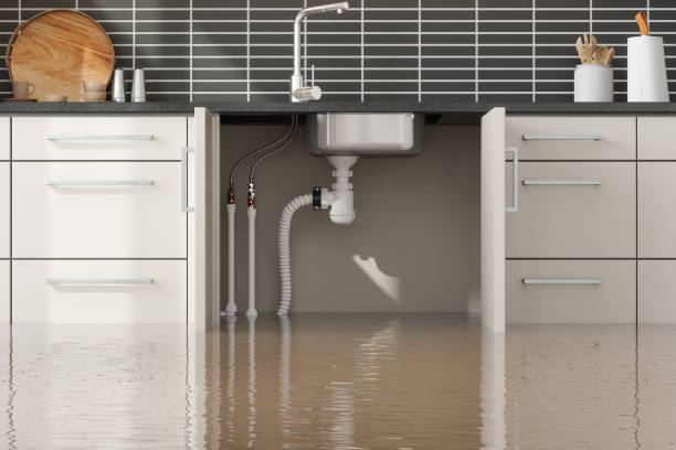 Best Fire Damage Restoration  in Council Grove, KS