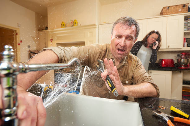Best Professional water damage repair  in Council Grove, KS